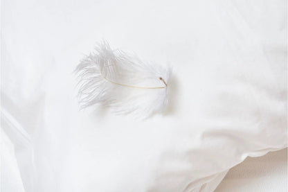 Square Feather & Down Filled Pillow Inserts 